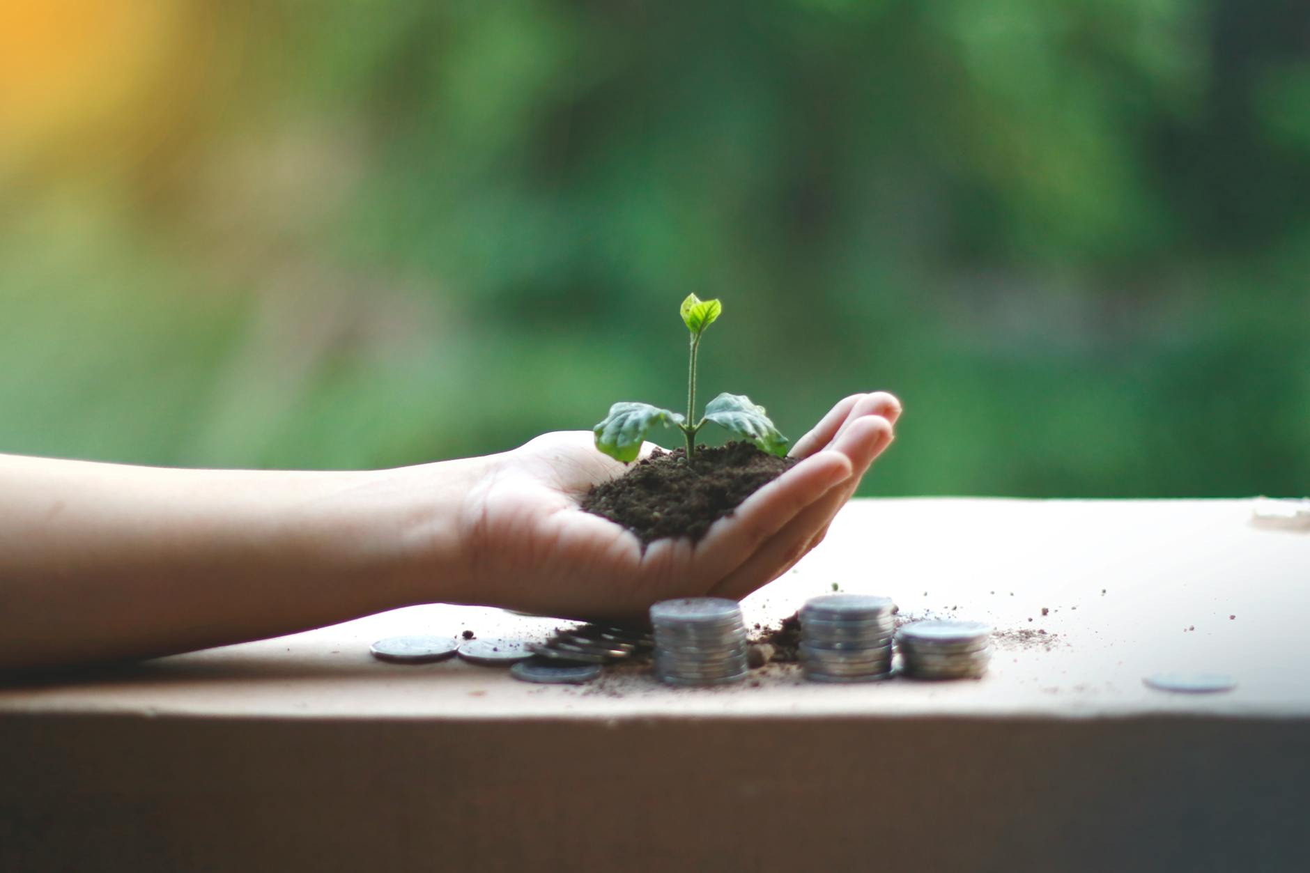 Growing sustainably category visual